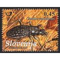 SLOVENIA 2009: INSECTS - 0.45€ CARABUS VARIOLOSUS USED (G21)