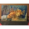 LIONFISH unused postcard AQUARIUM de MONACO tro...