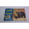 ANIMALS OF NORTH AMERICA 1960 BROOKE BOND CANAD...