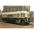 Colour Photograph of Maidstone & District Motor...