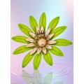 Vintage Flower Brooch Sarah Coventry Signed 60s...