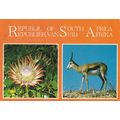 South Africa Multiview Postcard 1991 used VGC