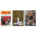 Corliss Williamson 10x card lot incl Inserts, S...