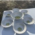 VTG MCM- 6 Coupe Cereal Bowls & 1 Serving Bowl-...
