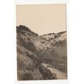 Becton Bunny Barton-on-Sea Postcard RP Hampshire