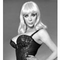 ANGELIQUE PETTYJOHN 1970’s Vegas stripper busti...