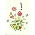Art PAULA JOYCE Love In A Mist Postcard (Medici...