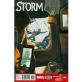 Storm (Vol 1) # 006 NM MODERN AGE COMICS