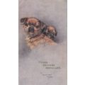 Tucks Postcard Maude West Watson Young Griffons...
