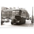 Black & White Photograph of Manchester Corporat...