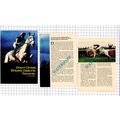 Desert Orchid Horse - 1991 Small Article