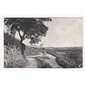 View of Torrington Postcard 1907 Devon Local Pu...