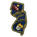 New Jersey Trenton Multi Color Fridge Magnet