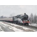 Nunney Castle Locomotive No 5029 Great Western ...