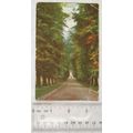 1907 postcard Quarry Avenue, Shrewsbury