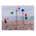 Beach Clean Sian Bonnell LGBT Gay Mops Brush Ra...