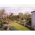 England Rear Garden Photograph used crease