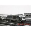 Railway Photo BR Class 35 Hymek D7008 BRISTOL T...