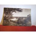 SILENCE IN SOLEMN WOODS painting by John MacWhi...