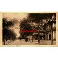 Empress Avenue, Ismailia, Egypt, Postcard