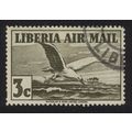 Liberia Lesser black-backed gull in flight Bird...