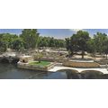 Nîmes: Les jardins de la Fontaine.