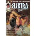 Elektra: Assassin (1986 Ltd) # 002 NM MODERN AG...