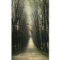 Wilderness Avenue, Sevenoaks, Kent, 15,950 Wren...