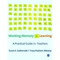 Working Memory And Learning