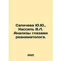 Yu.Yu. Sapicheva, V.L. Kassil Analysis through ...