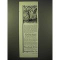 1929 Thos. Cook & Son Cruise Ad - Homeric Days