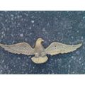 Solid brass eagle with 2 mounting holes pre-dri...