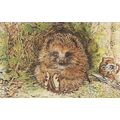 Mr Pricklepan Appley Dapply's Nursery Rhymes Be...