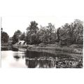 49 - Montreuil-Bellay - le Thouet