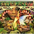 SPYRO GYRA - Morning Dance - 1979 LP Vinyl Reco...