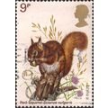 GB, MAMMALS, Red Squirrel, white 1977, 9p, #4