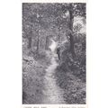 Standard size printed Lovers Walk Ribby Lancashire