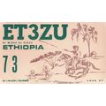 Horse Fights Asmara Ethiopia Vintage Amateur Ra...