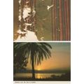 Jerusalem The Cave Of Letters Sunrise 2x Postcard