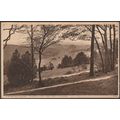 Historic Kingly Vale near Chichester, Sussex, 1...