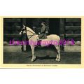Royal Outrider in Scarlet Livery, Royal Mews, T...