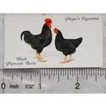 1931 John Player & Sons Poultry No. 35 Black Pl...