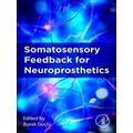 Somatosensory Feedback For Neuroprosthetics