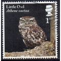 GB 2018 Owls - Little Owl 1st Used