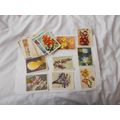 OUR SOUTH AFRICAN FLORA CIGARETTE CARDS AS SHOW...