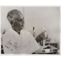 Hans Selye Historic Stress Scientist 10x8 Hand ...