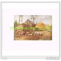 SETTLERS FARMYARD, MUSKOKA, Book Illustration, ...