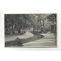 Ju196 - Bournemouth Gardens - Judges Postcard 5113