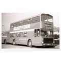Black & White Photograph of Maidstone & Distric...
