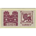 Scout Double Badge UK Surrey/Esher - Black Back...